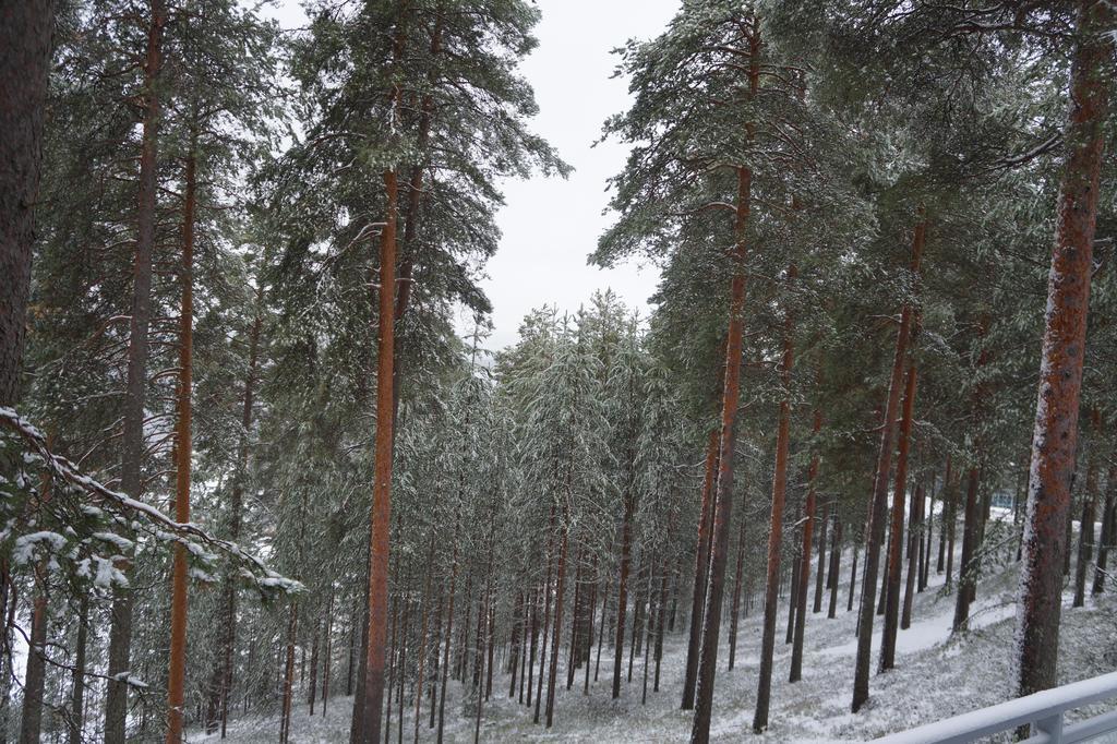 Hotel Tulikettu Sotkamo